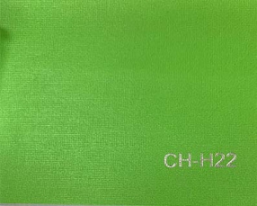 CH-H22